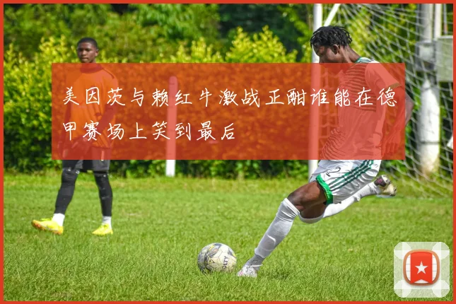 美因茨与赖红牛激战正酣谁能在德甲赛场上笑到最后